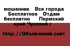 мошенник - Все города Бесплатное » Отдам бесплатно   . Пермский край,Чусовой г.